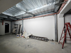 Bukit Pasoh Conservation Area (D2), Shop House #438682371